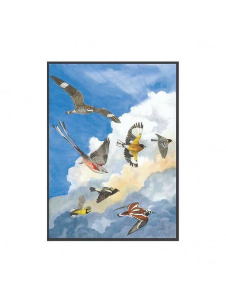 Puzle - Julie Zickefoose Fantasy Flock 1000 gab
