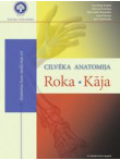 Cilvēka anatomija. Roka. Kāja Cilvēka anatomija. Roka. Kāja