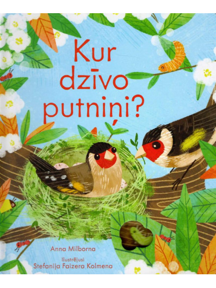 Kur dzīvo putniņi? Grāmata ar lodziņiem