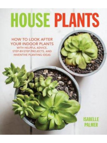House Plants: How to Look After Your Indoor Plants