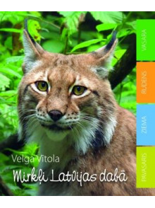 Mirkļi Latvijas dabā  Mirkļi Latvijas dabā