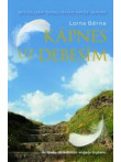 Kāpnes uz debesīm  Kāpnes uz debesīm