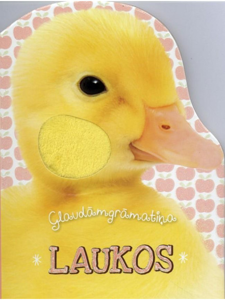 Glaudāmgrāmatņa. Laukos Glaudāmgrāmatņa. Laukos