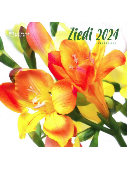 K/2024 Ziedi (kvadrāts)