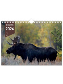 K/2024 Meža dzīvnieki ar spirāli/ The Baltic Wildlife