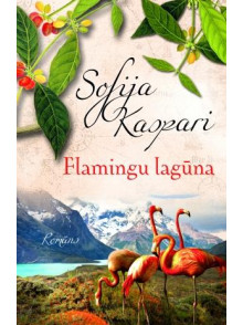 Flamingu lagūna  Flamingu lagūna