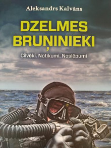 Dzelmes bruņinieki Dzelmes bruņinieki