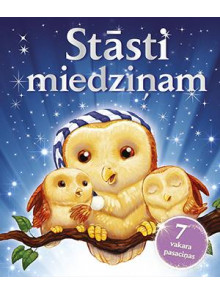 Stāsti miedziņam. 7 vakara pasaciņas Stāsti miedziņam. 7 vakara pasaciņas