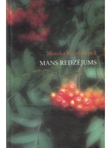 Mans redzējums Mans redzējums
