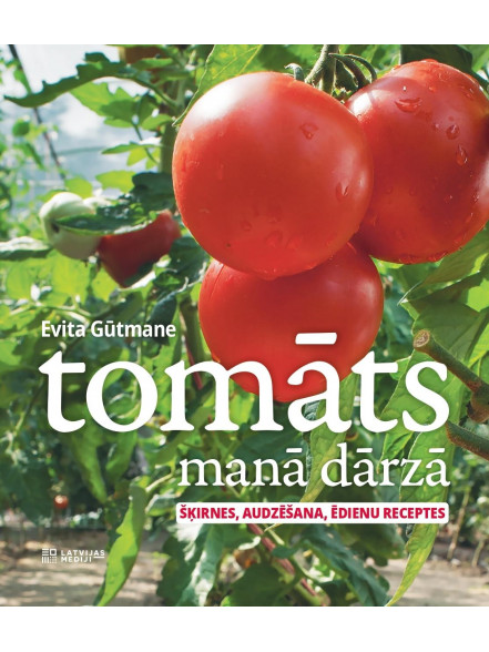 Tomāts manā dārzā