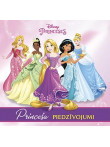 Disney Princeses. Princešu piedzīvojumi Disney Princeses. Princešu piedzīvojumi