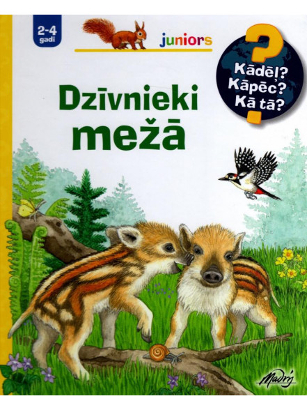 Dzīvnieki mežā
