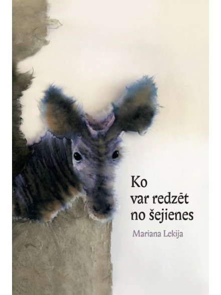 Ko var redzēt no šejienes Ko var redzēt no šejienes