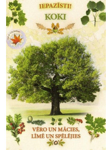 Iepazīsti! Koki
