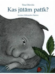 Kas jūtām patīk?