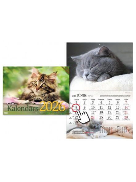 Kaķu kalendārs 2026
