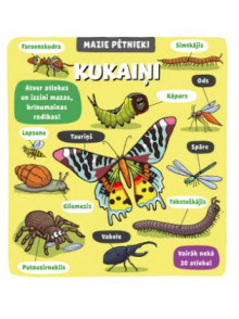 Mazie pētnieki. Kukaiņi Mazie pētnieki. Kukaiņi