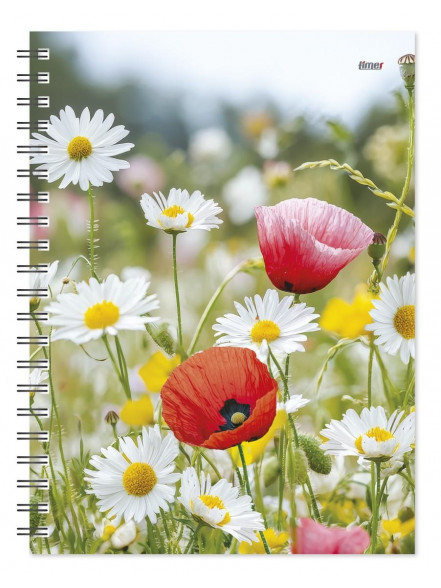 TEMPO Spiral Desing Diena