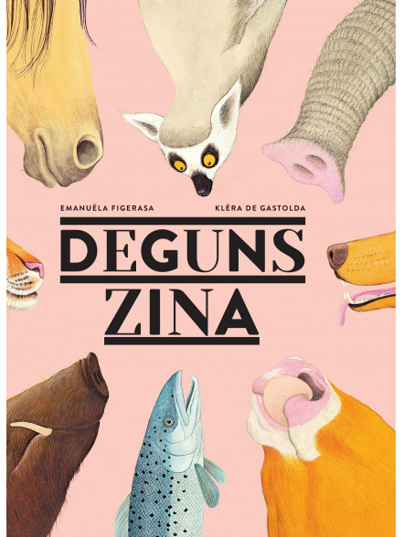 Deguns zina