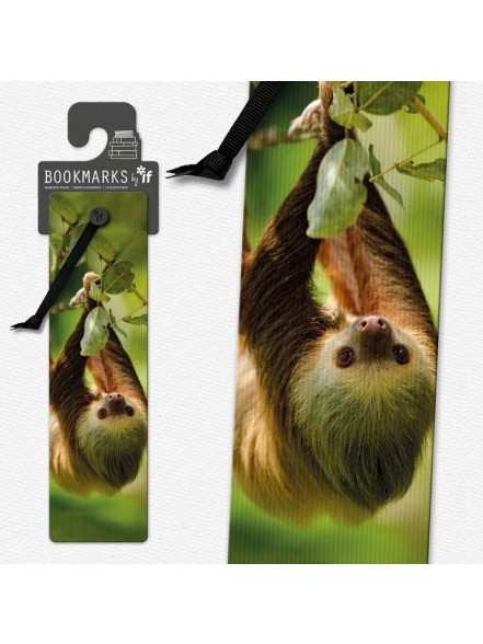 Grāmatzīme 3D - Two-toed Sloth