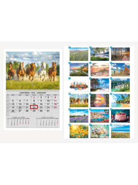 Kalendārs OFFICE MINI asorti 
