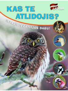 Iepazīsti Latvijas dabu. Kas te atlidojis? Iepazīsti Latvijas dabu. Kas te atlidojis?