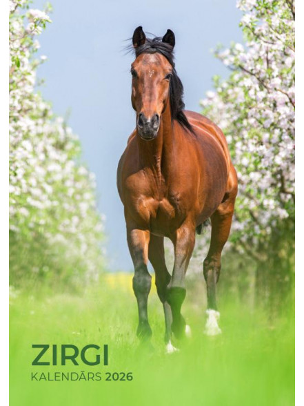 K/2026 Zirgi