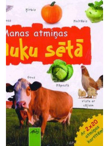 Manas atmiņas lauku sētā 