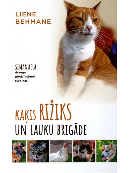 Kaķis Rižiks un Lauku brigāde