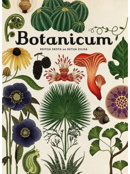 Laipni lūgti muzejā: Botanicum Laipni lūgti muzejā: Botanicum
