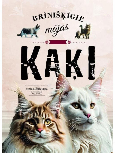 Brīnišķīgie mājas kaķi