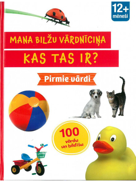 Mana bilžu vārdnīca. Kas tas ir? Pirmie vārdi Mana bilžu vārdnīca. Kas tas ir? Pirmie vārdi