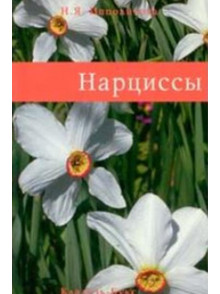 Narcissi