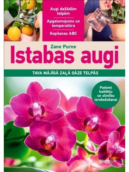Istabas augi Istabas augi