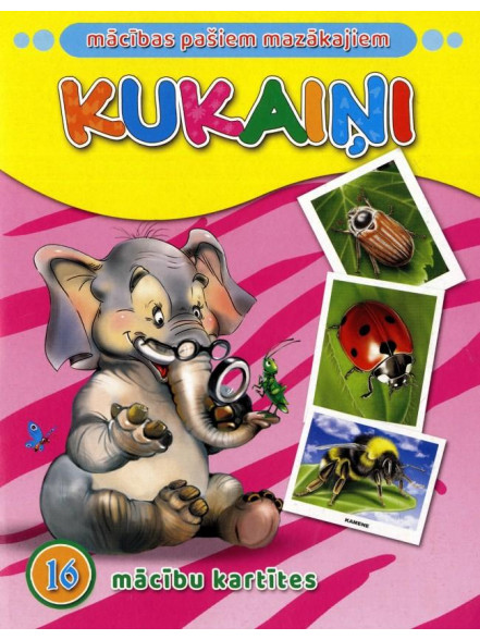 Kukaiņi Kukaiņi
