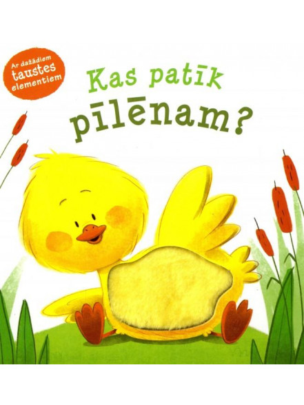 Kas patīk pīlēnam? Ar dažādiem taustes elementiem Kas patīk pīlēnam? Ar dažādiem taustes elementiem