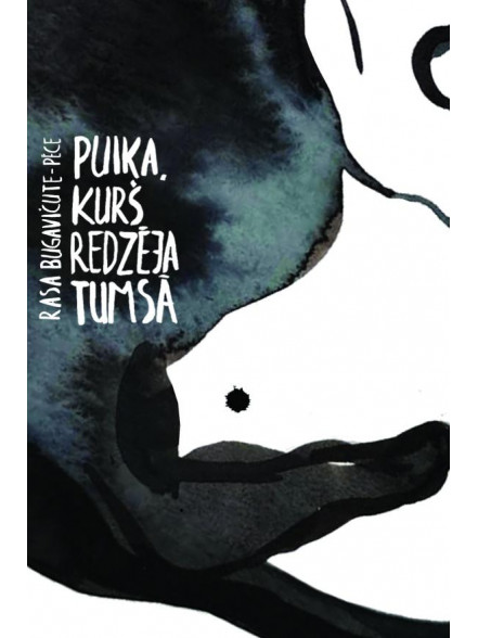 Puika, kurš redzēja tumsā Puika, kurš redzēja tumsā