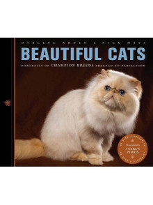 Beautiful cats Portraits of Champion breeds Beautiful cats Portraits of Champion breeds