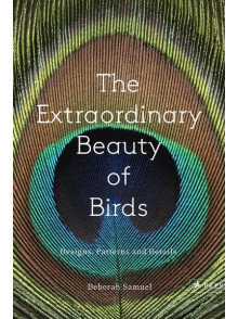 The Extraordinary Beauty of Birds