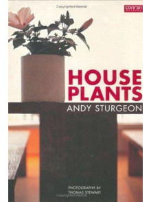 House Plants