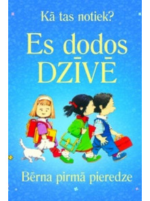 Es dodos dzīvē. Kā tas notiek? Bērna pirmā pieredze