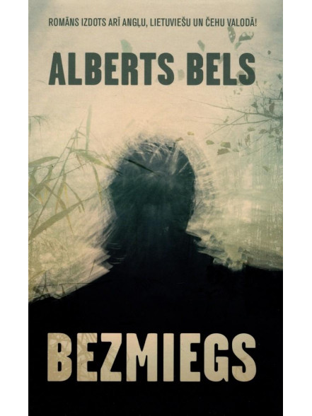 Bezmiegs
