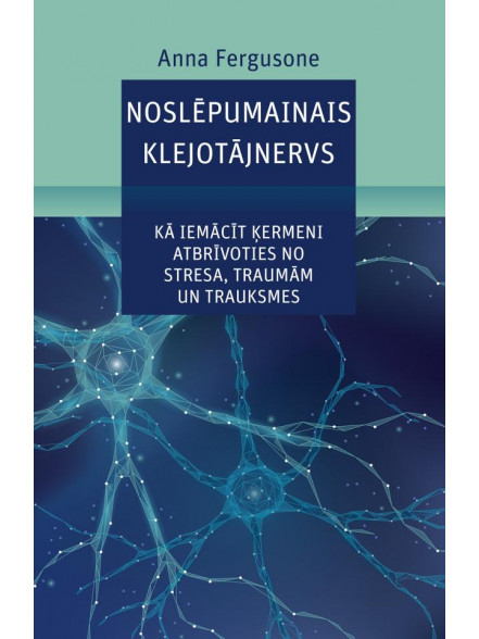 Noslēpumainais klejotājnervs