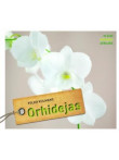 Orhidejas  Orhidejas