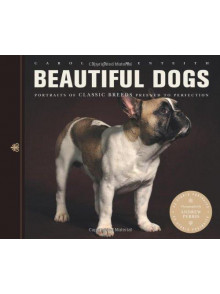 Beautiful dogs 
