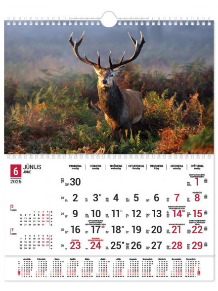 Meža dzīvnieki ar spirāli/ The Baltic Wildlife 2025