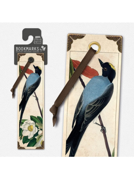 Grāmatzīme Vintage - Flycatcher Grāmatzīme Vintage - Flycatcher