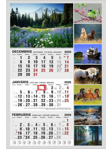 K/2026 Sienas trīsdaļīgais D.Jasaičio