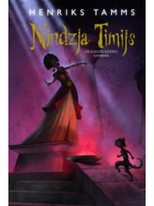 Nindzja Timijs un zudušo dziesmu kambaris