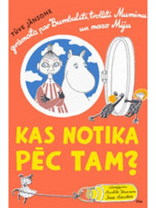 Kas notika pēc tam?